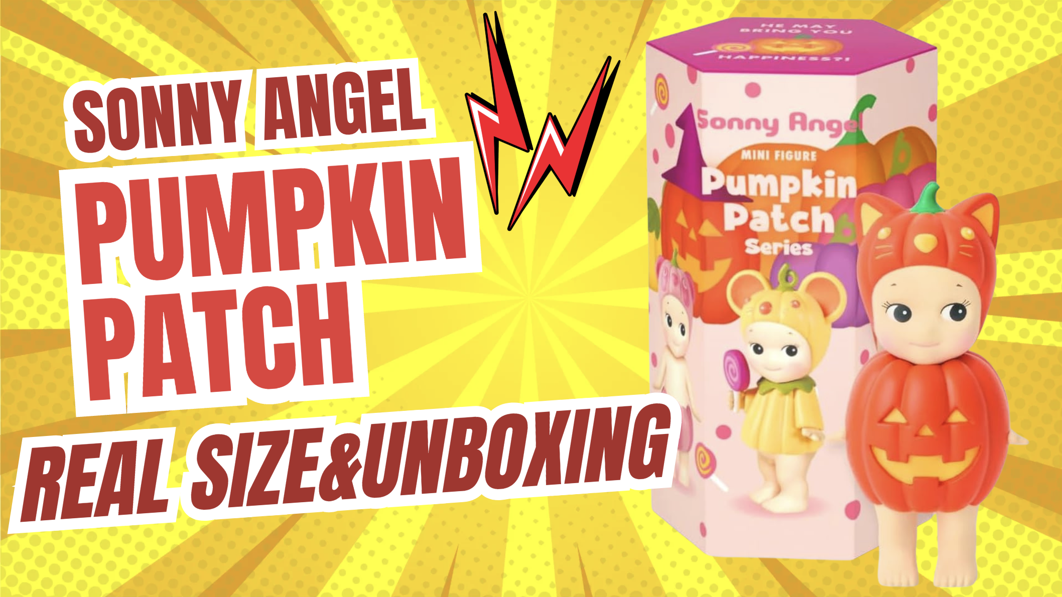 Amazon.com: Sonny Angel Pumpkin Patch Series - 1 Sealed Blind Box